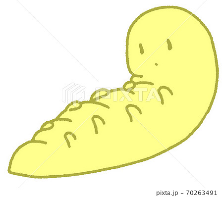 いもむしのイラスト素材