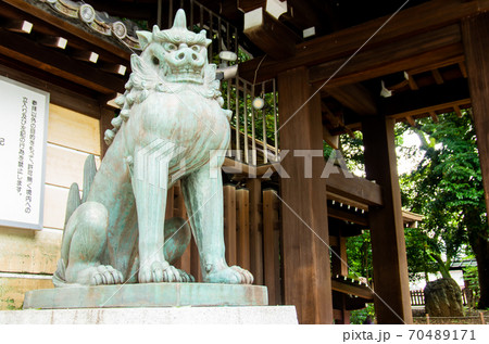 狛犬 靖国神社の写真素材