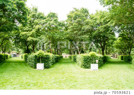 イギリス庭園の写真素材