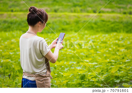 女性 スマホ 携帯電話 後ろ姿の写真素材