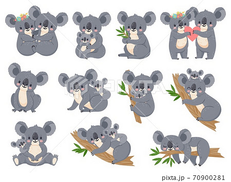 Koala Illustrations