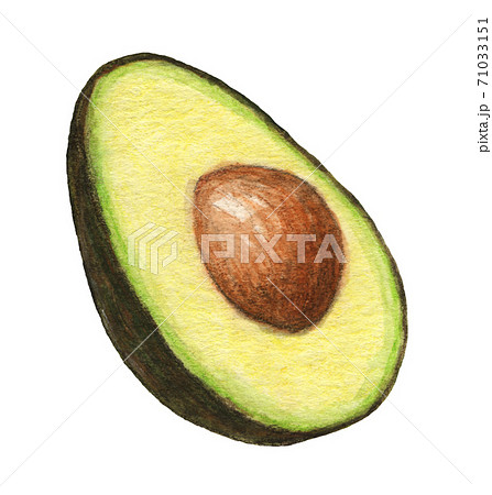 アボカドのイラスト素材集 ピクスタ