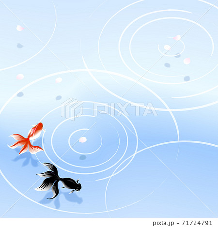金魚 金魚鉢 かわいい 魚のイラスト素材