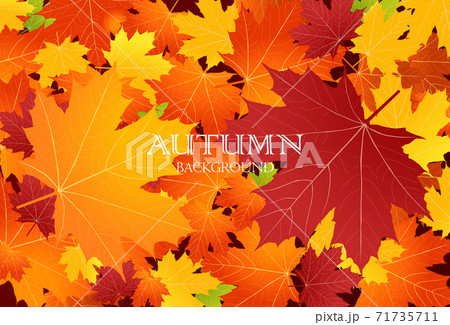 輝く 金 背景 きれい 紅葉 風景 イラスト 自然 秋のイラスト素材