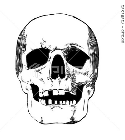 どくろ 怖い がい骨 ドクロのイラスト素材 どくろ 怖い がい骨 ドクロのイラスト素材