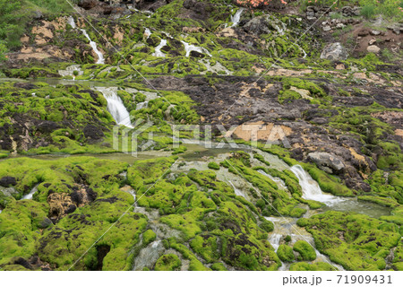 苔 川 群馬県 中之条の写真素材