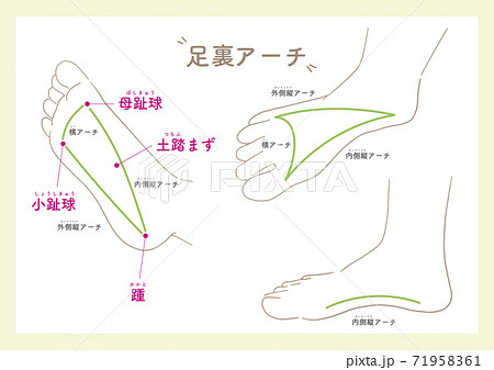 土踏まずのイラスト素材