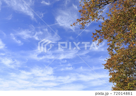 空 雲 天気 雲の種類の写真素材