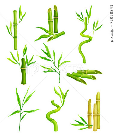 木の棒のイラスト素材