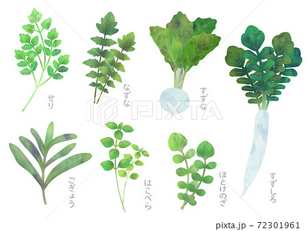 七草 七草粥のイラスト素材集 ピクスタ