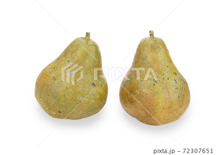 洋梨のオブジェの写真素材