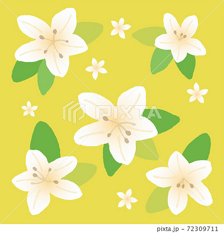 ツツジのイラスト素材