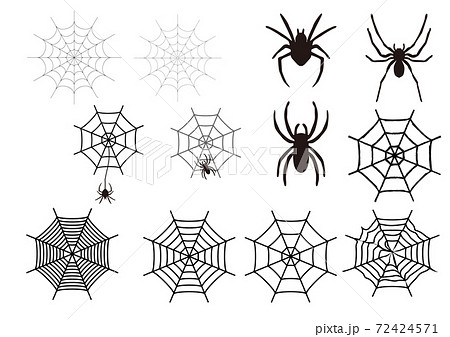 蜘蛛 虫 昆虫 蜘蛛の巣のイラスト素材