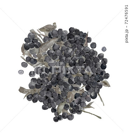 枝豆のイラスト素材集 Pixta ピクスタ