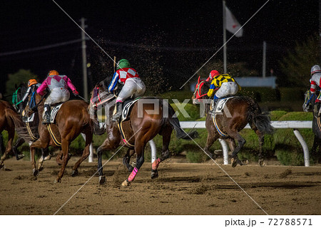 競馬 ゲート 競走馬 馬の写真素材