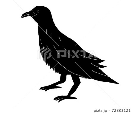 カラス シルエットのイラスト素材