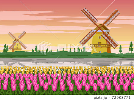 チューリップ 風車 オランダのイラスト素材