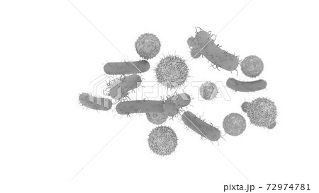 微生物のイラスト素材集 ピクスタ