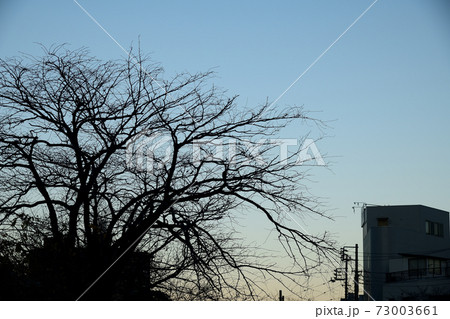 切ない 冬の写真素材