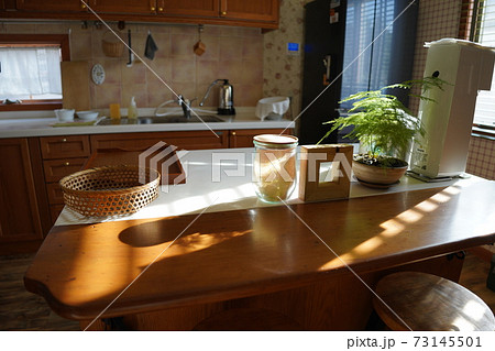 小窓 キッチン 植物 観葉植物の写真素材