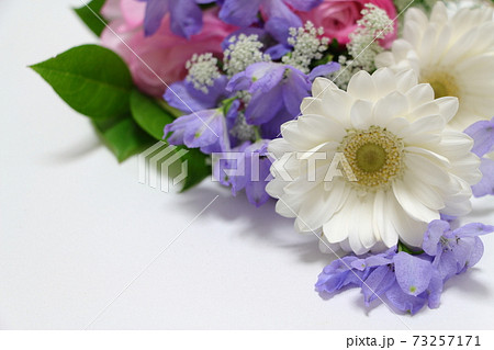 花 花束 ブーケ カンパニュラの写真素材