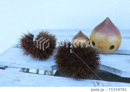 トゲが刺さるの写真素材