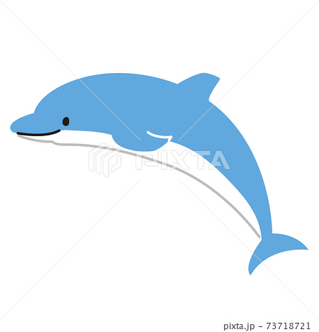 イルカ ドルフィン 海豚 哺乳類のイラスト素材