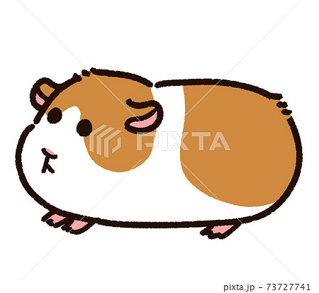 guinea pig  starryai