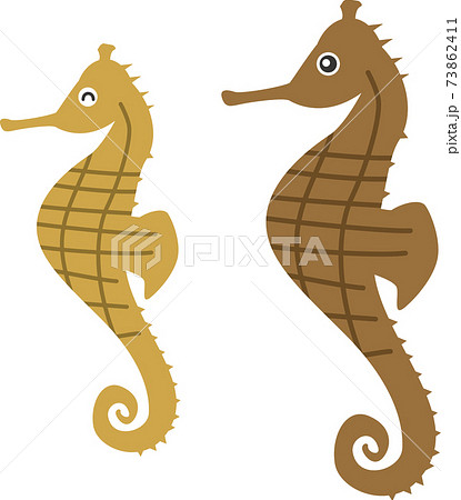 タツノオトシゴ イラスト かわいい 白バックのイラスト素材