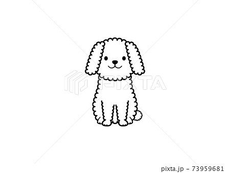 ビションフリーゼのイラスト素材