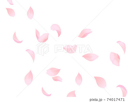 桜 花びら 花 散るのイラスト素材