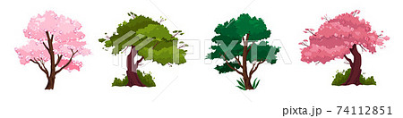 木の幹 木 桜の木 幹のイラスト素材