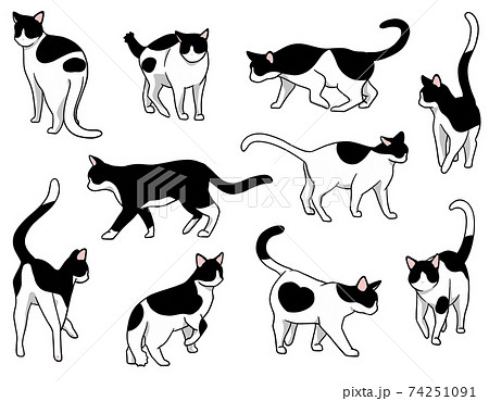 猫模様のイラスト素材