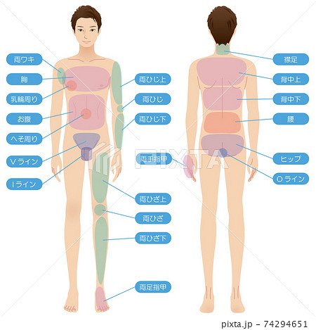 人体 全身 正面 背面のイラスト素材
