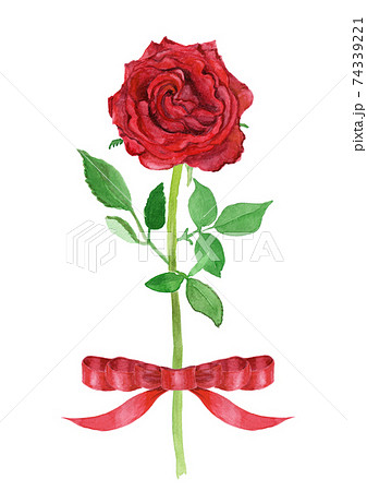 薔薇の花 美しい 一輪 バラのイラスト素材