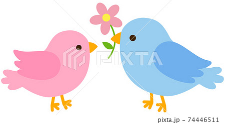 二羽の小鳥 Here is a cheerful parakeet who instantly becomes friends