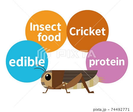 コオロギのイラスト素材