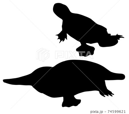 水かきのイラスト素材