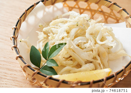 シラウオの写真素材