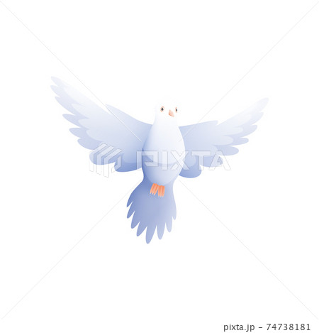 ベクター ハト 鳩 キャラクターの写真素材