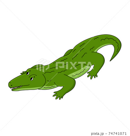 クロコダイル ワニ 水分 攻撃的のイラスト素材