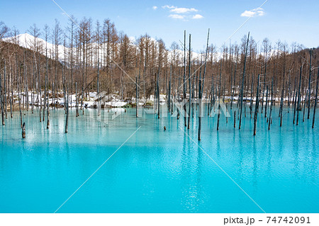 北海道 壁紙 美瑛 青い池の写真素材