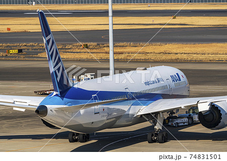 Ana 飛行機の写真素材