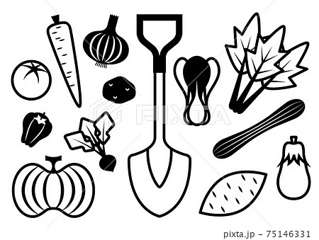 野菜 線画 白黒 モノクロのイラスト素材