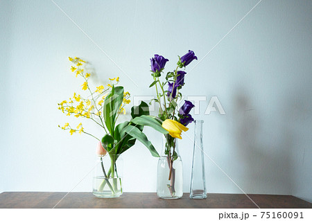 釣鐘草 ホタルブクロ属の写真素材