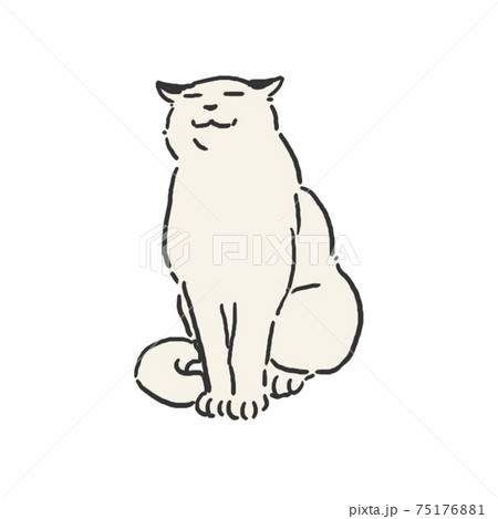猫 イラスト スケッチ ペン画のイラスト素材