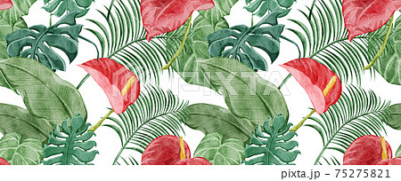 熱帯植物のイラスト素材