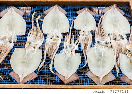 イカの干物 風景の写真素材
