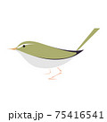 ウグイス 鳴き声 歌 さえずり 鳥 春 のイラスト素材