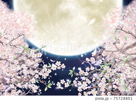 桜 背景 和風 背景画像のイラスト素材